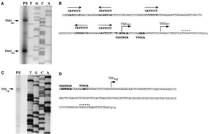 FIG. 7