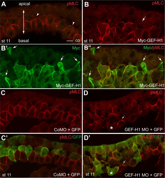 Fig. 8.