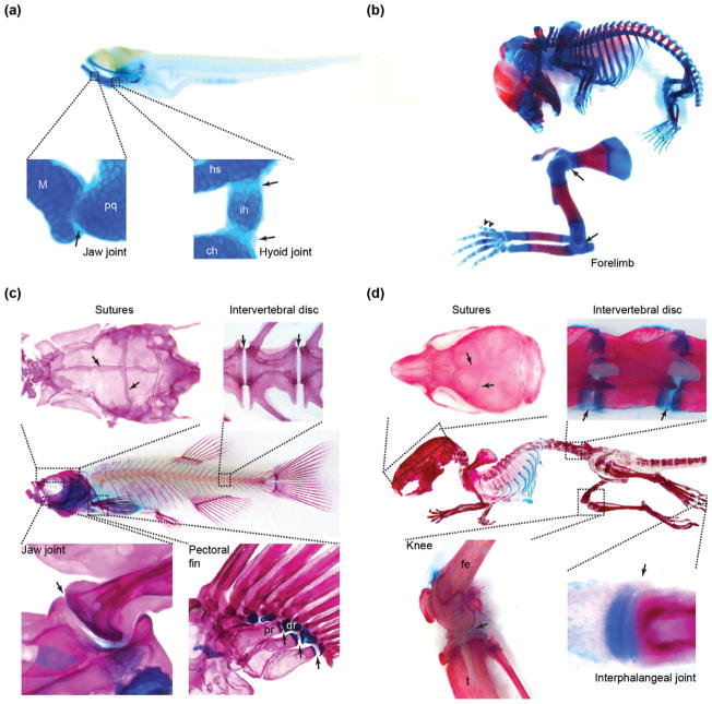 FIGURE 2