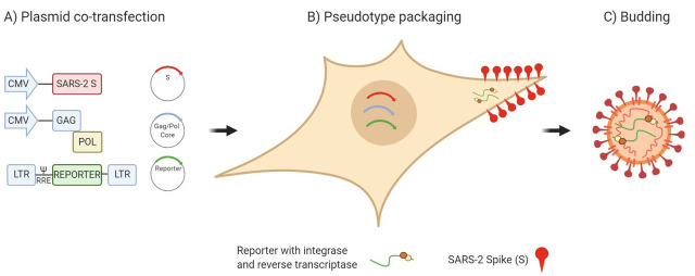 Figure 1.