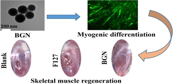 graphic file with name rbad059f8.jpg