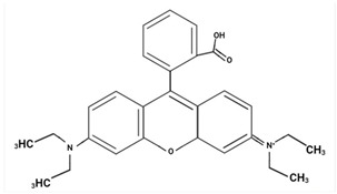 graphic file with name molecules-29-01336-i002.jpg