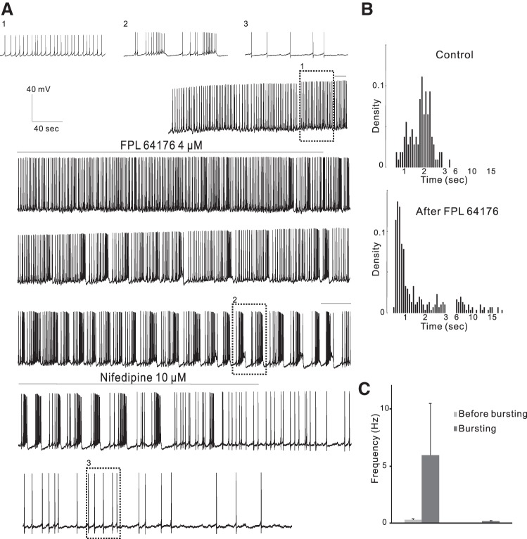 Fig. 6.