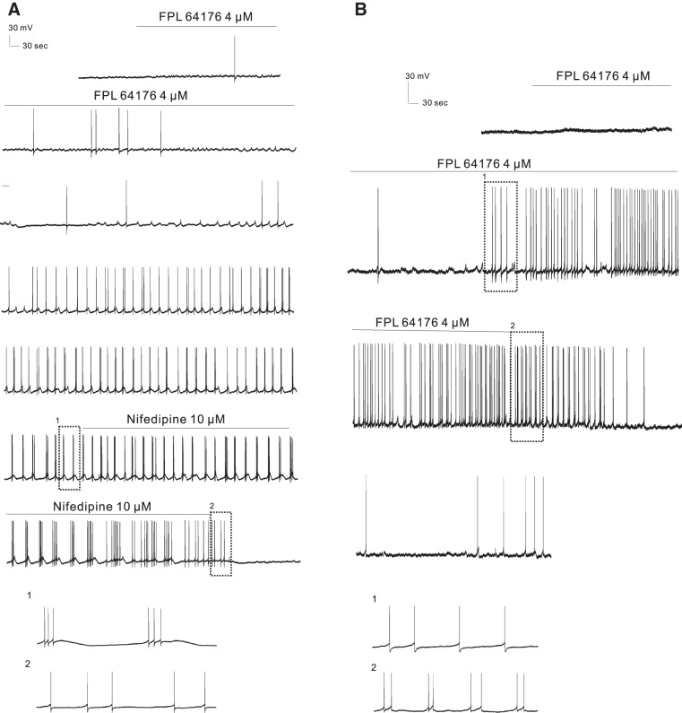 Fig. 7.