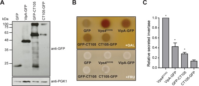 Figure 7