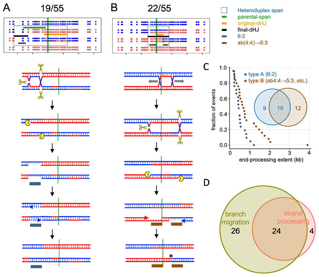 Figure 6 –