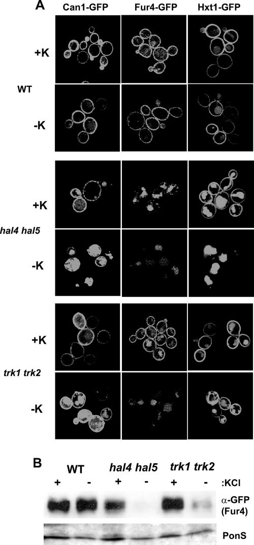 FIG. 4.