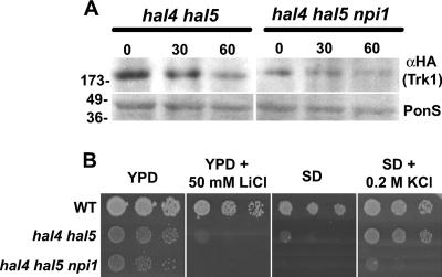 FIG. 6.