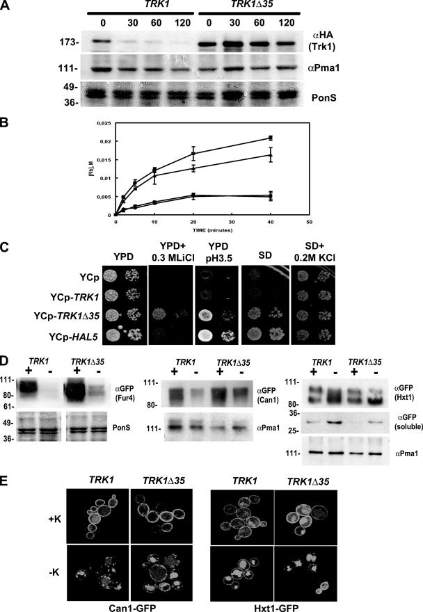 FIG. 7.