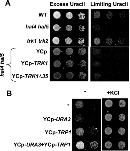 FIG. 8.