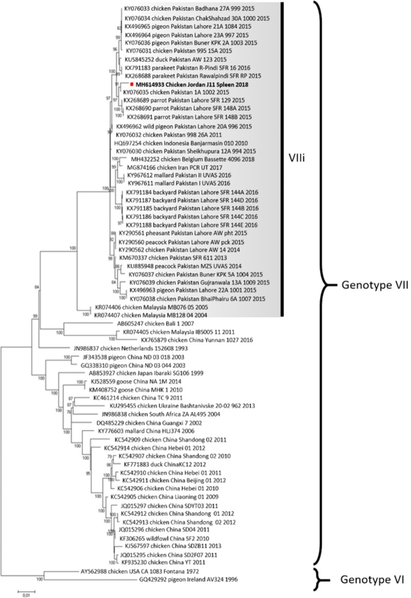 FIG 1