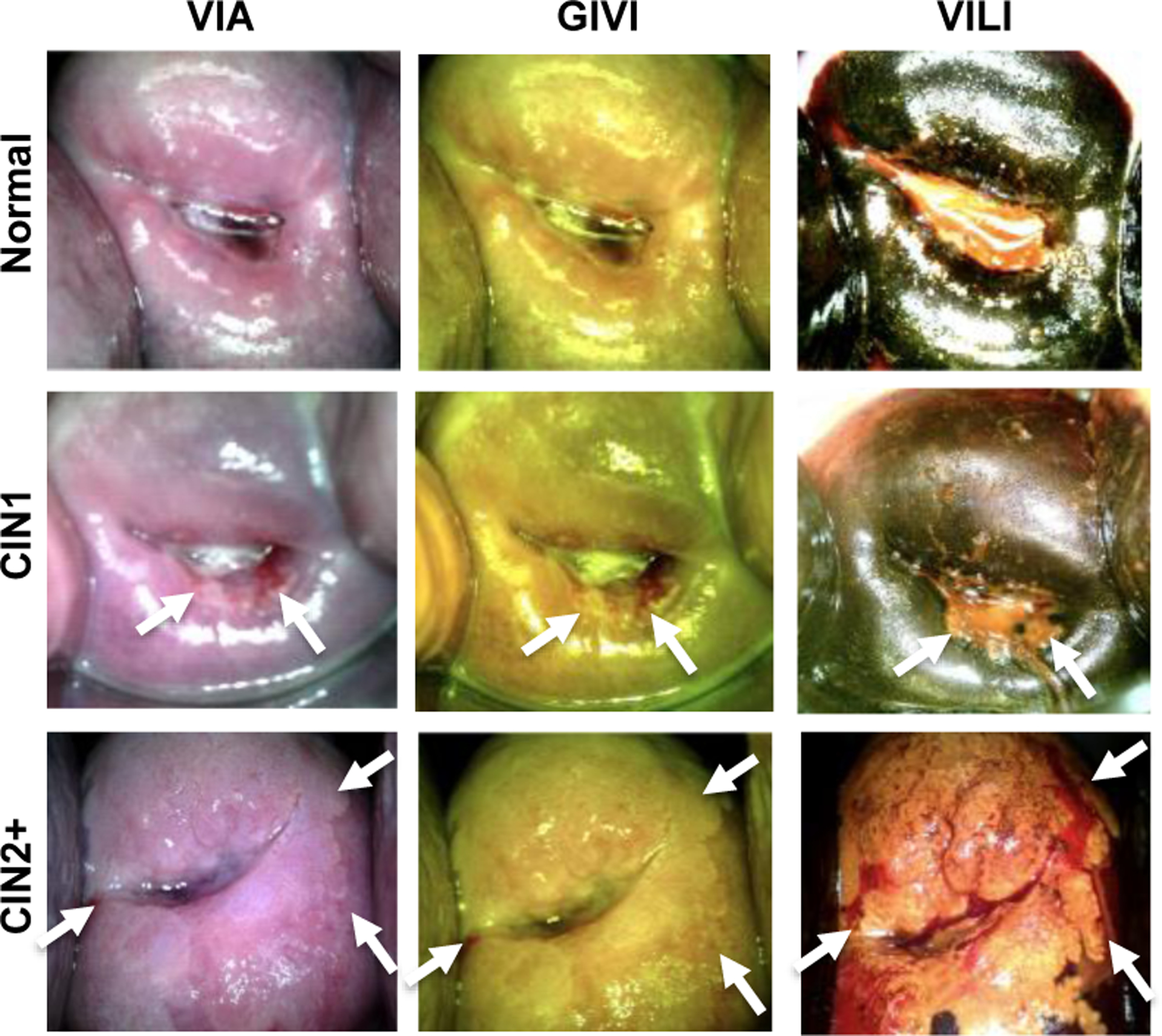 Figure 1: