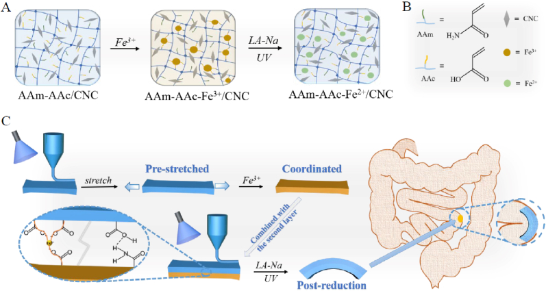 Fig. 1