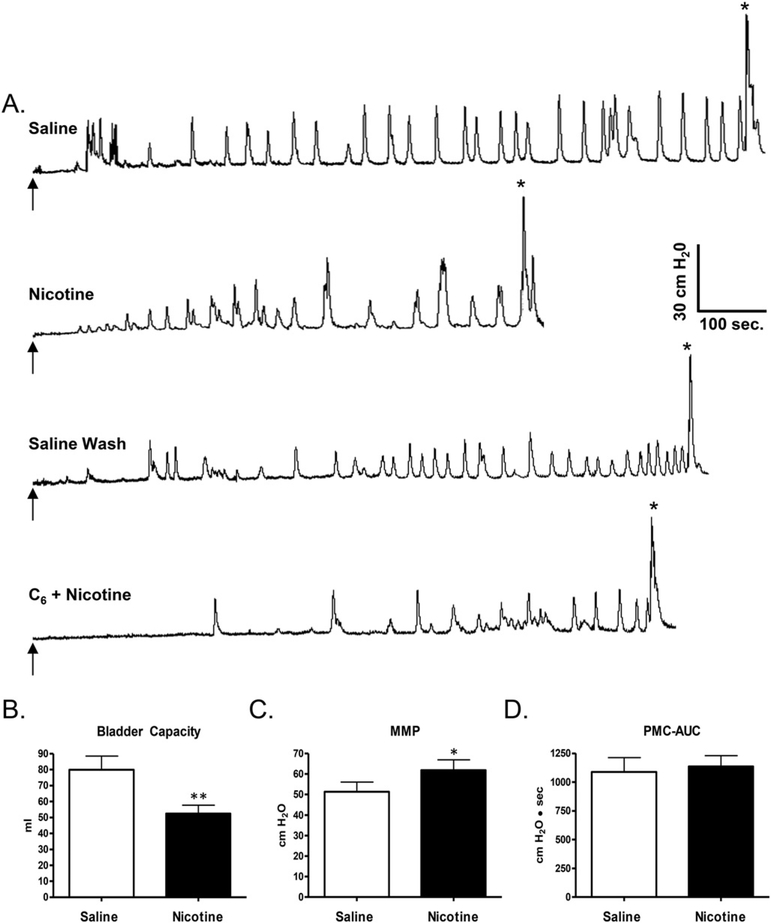 Fig. 8.