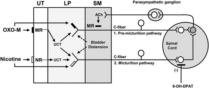 Fig. 10.