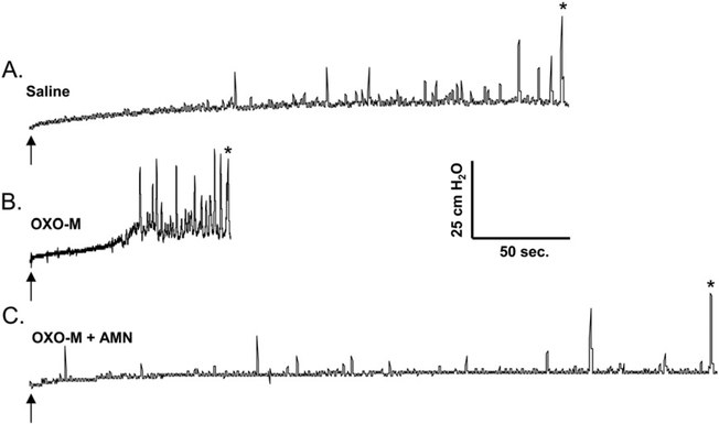 Fig. 9.