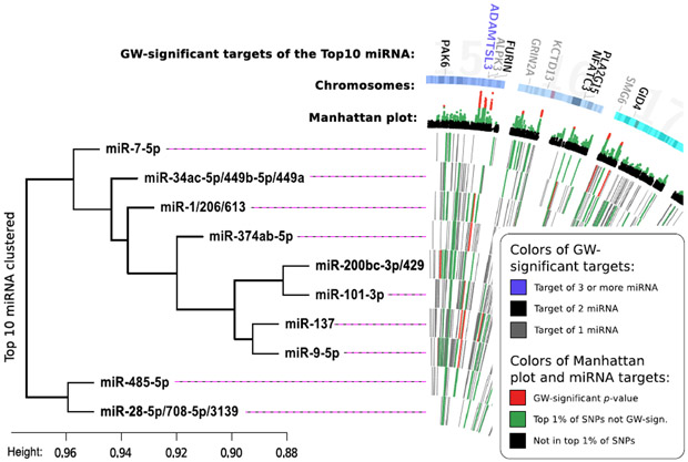 Figure 2: