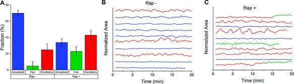 Figure 3.