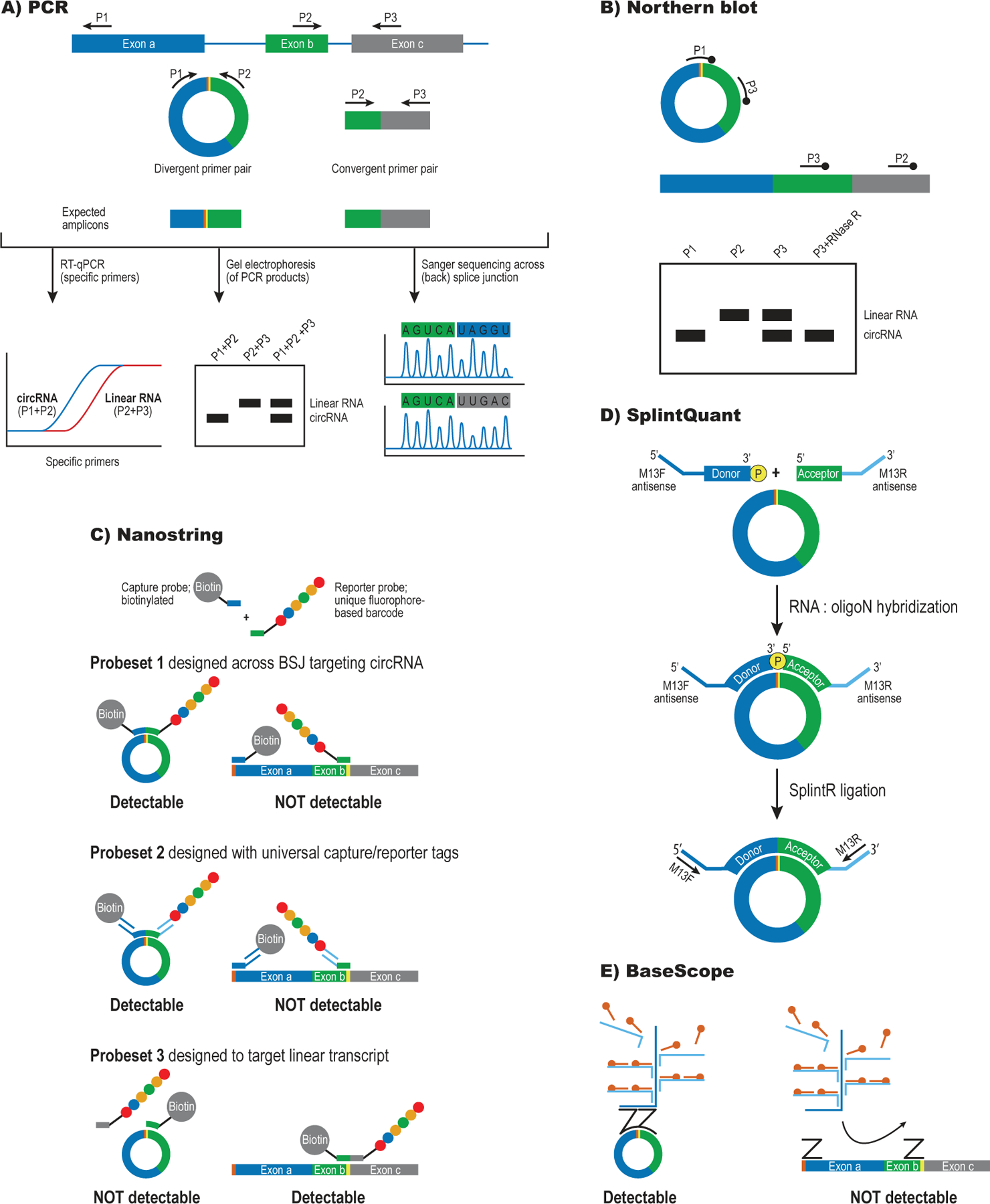 Figure 2: