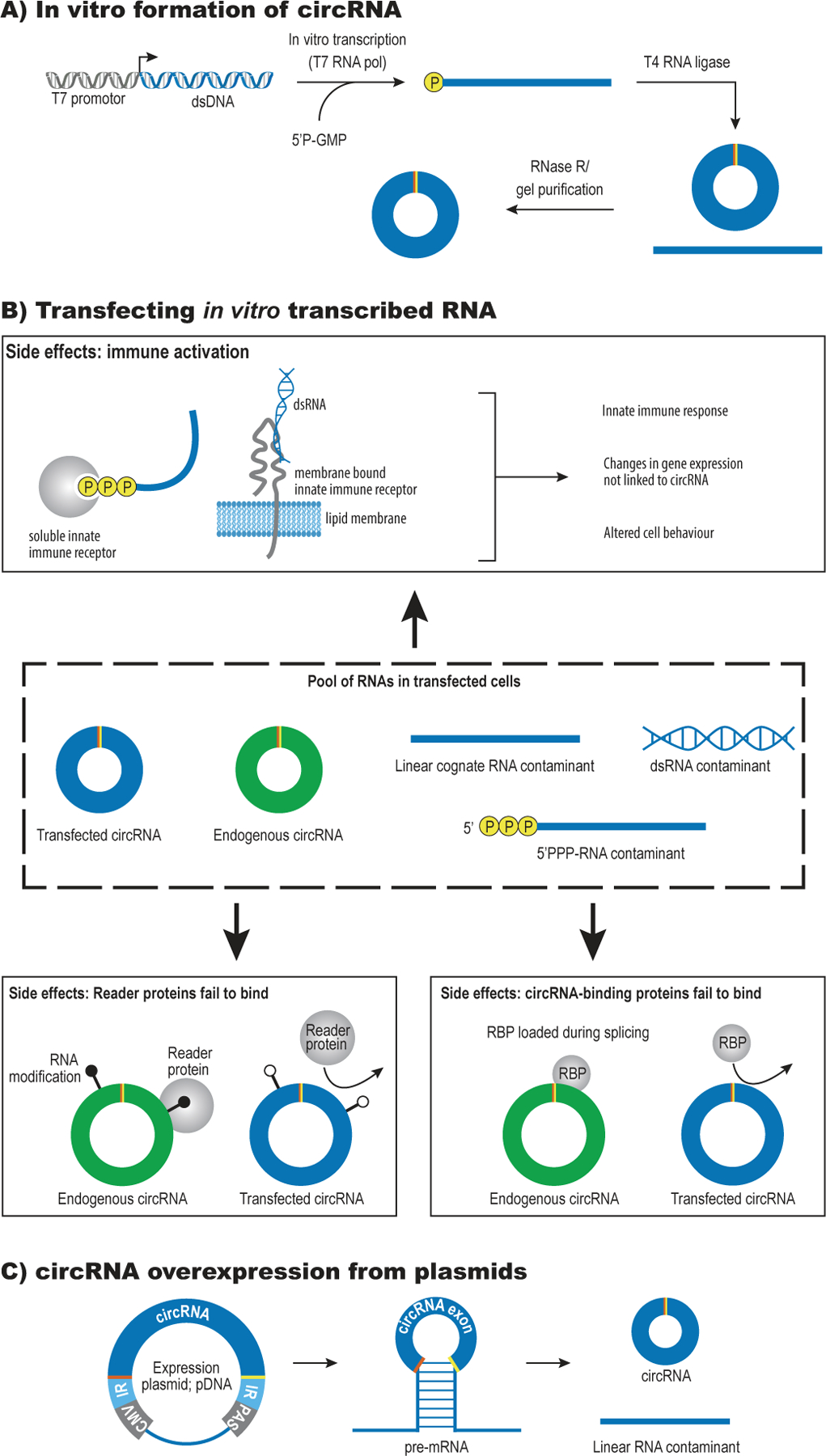 Figure 4: