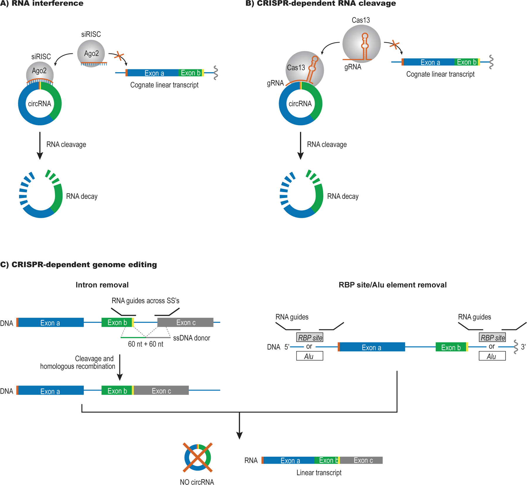 Figure 3: