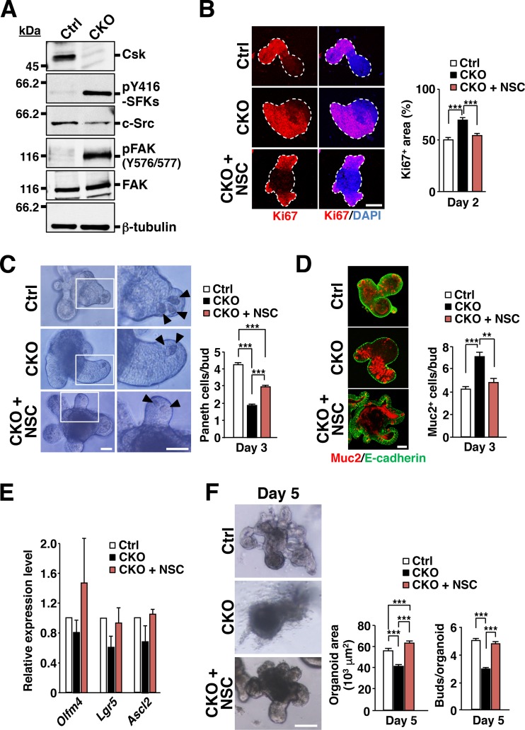 FIG 6