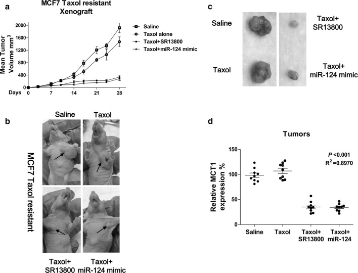 Fig. 7