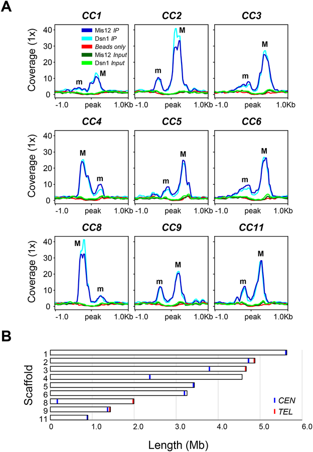 Figure 3.