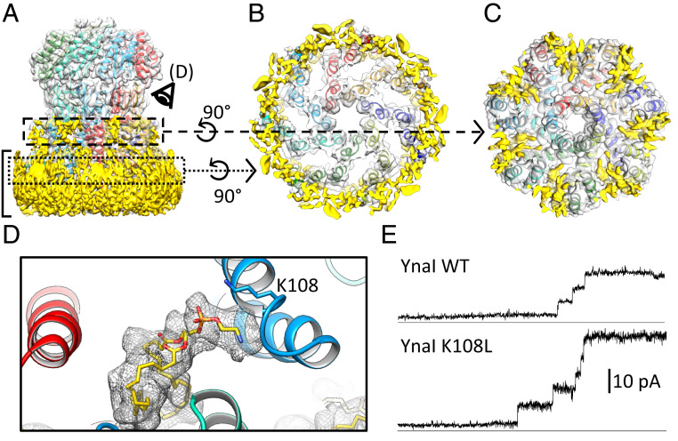 Fig. 4.