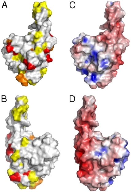 Fig. 5.