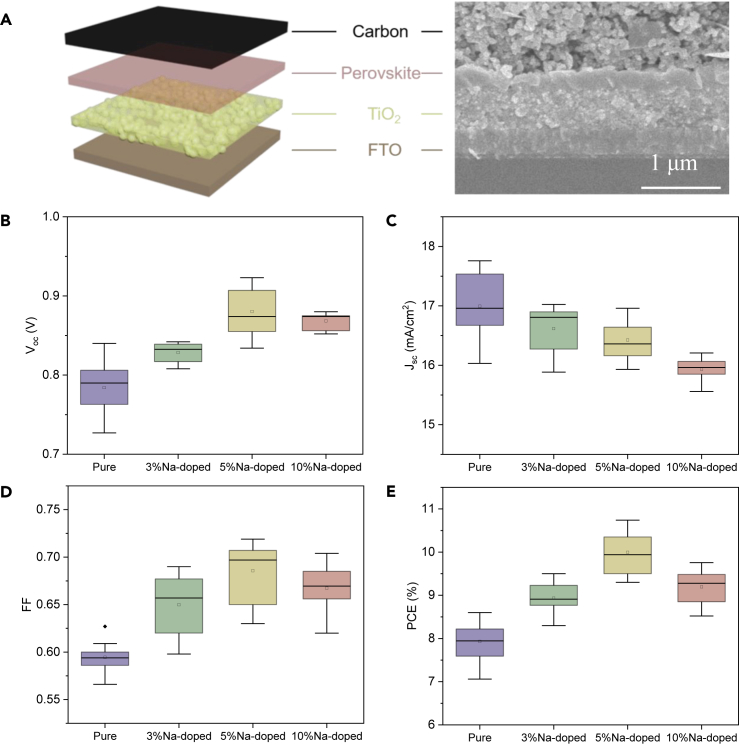 Figure 2