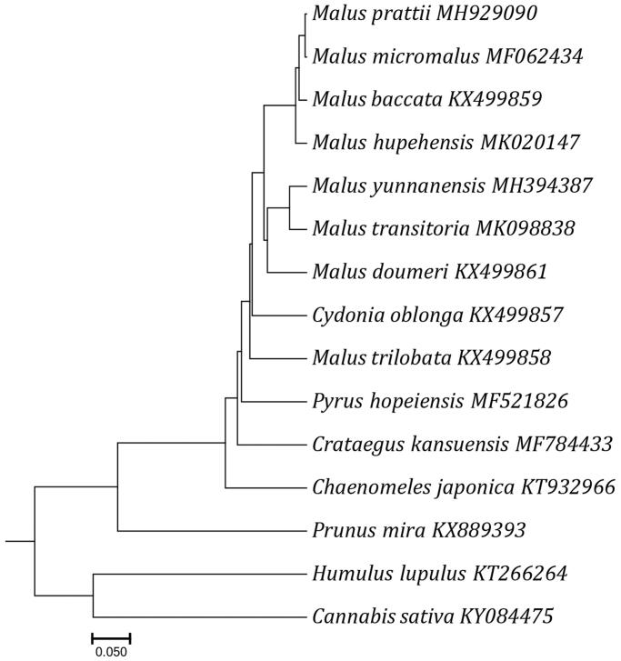 Figure 1.