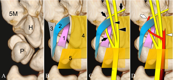 Fig. 3