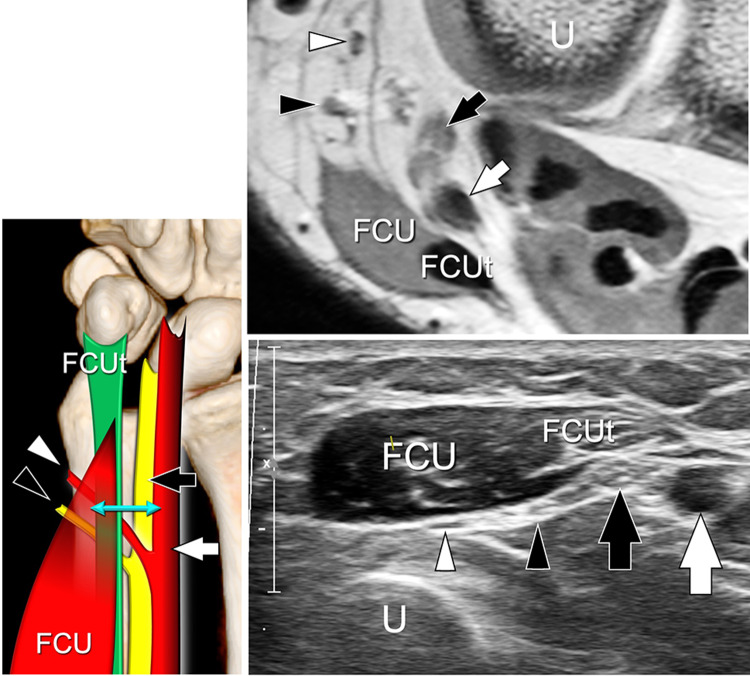 Fig. 8