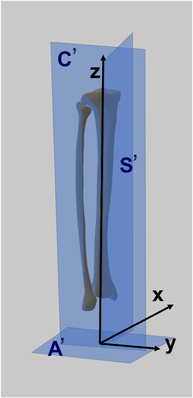 Fig. 5