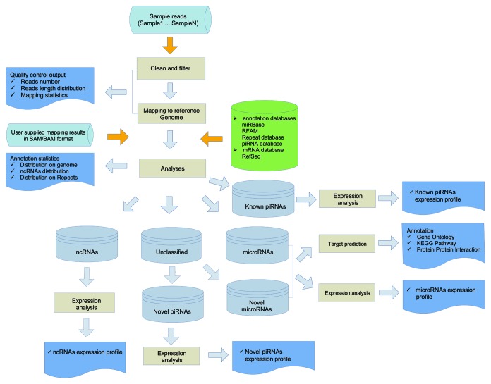 graphic file with name rna-10-1087-g2.jpg