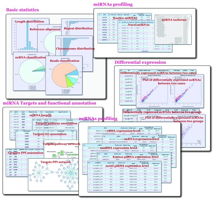 graphic file with name rna-10-1087-g1.jpg