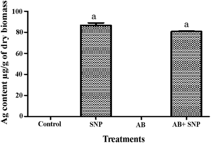 FIGURE 7