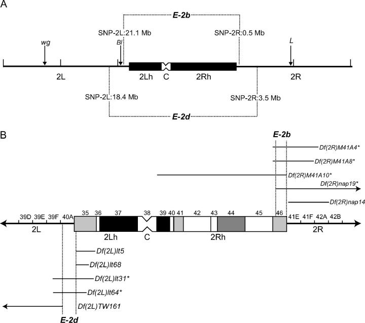 Figure 2.—