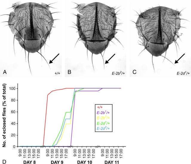 Figure 1.—