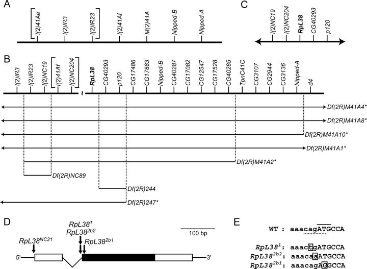 Figure 3.—