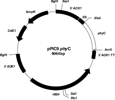 FIG. 1.