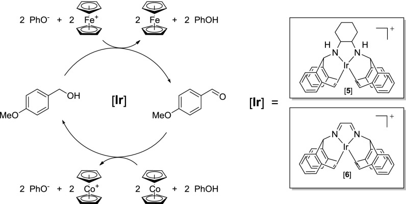 Scheme 2.