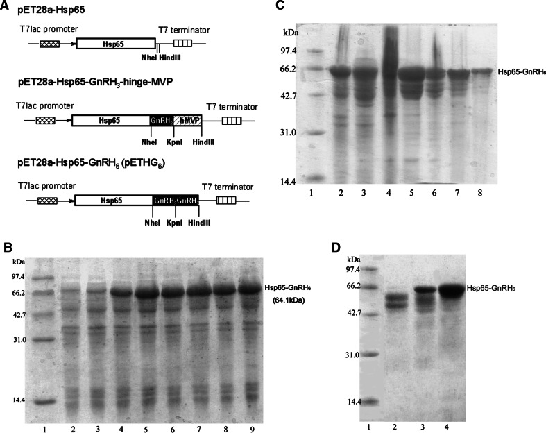 Fig. 1