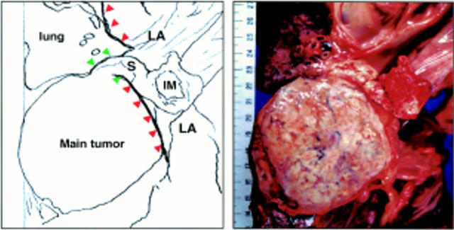 Figure 2  