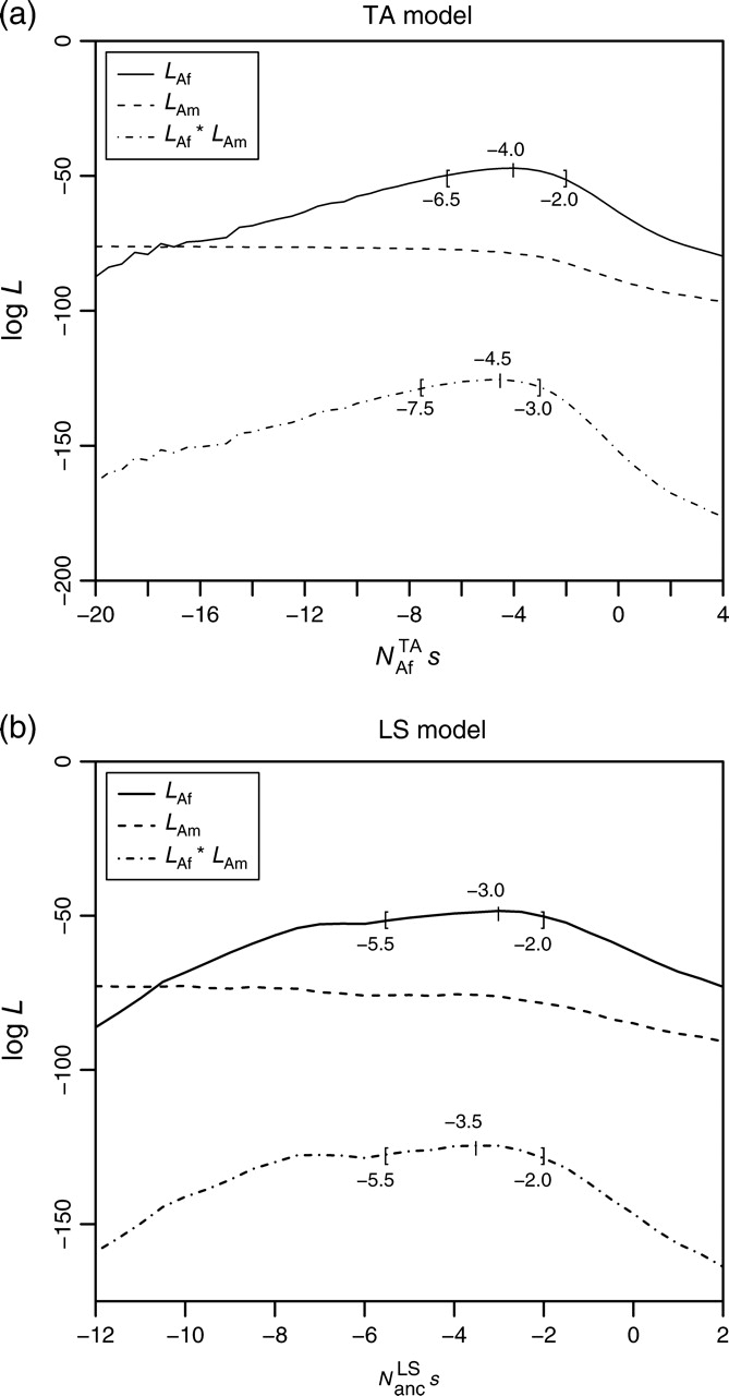 FIG. 3.—