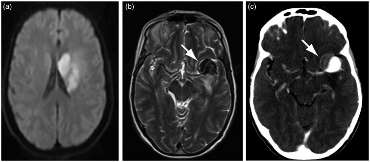 Figure 1.