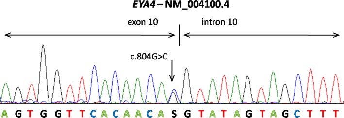 Fig. 4