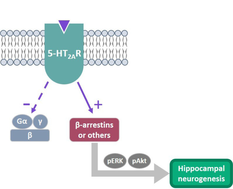 Fig. (2)