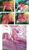 Figure 3